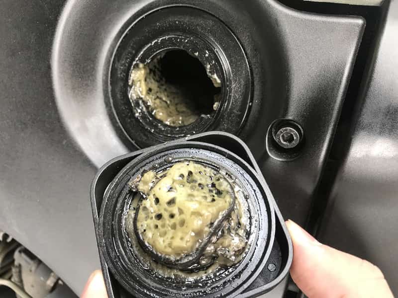 قیمت خرید روغن موتور پادمیرا + عکس