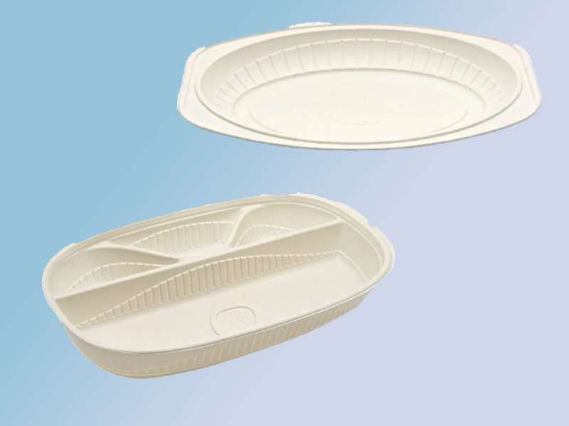 خرید ظروف یکبار مصرف گیاهی خارجی با قیمت استثنایی