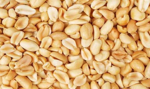 خرید مغز بادام درختی عمده + قیمت عالی