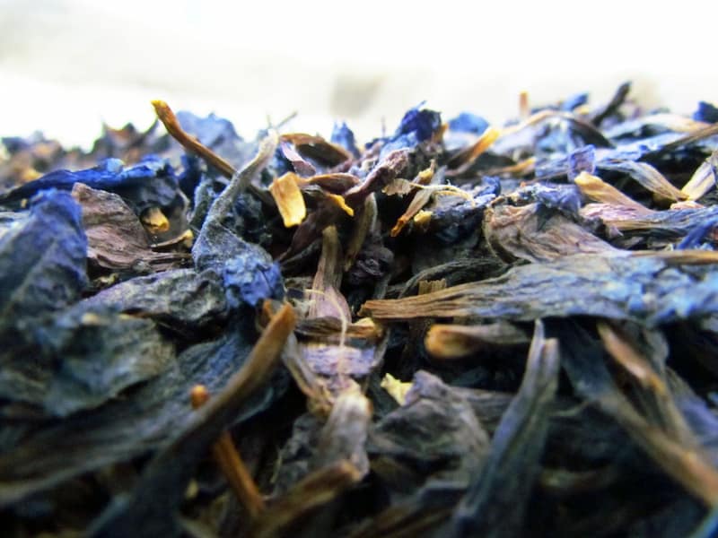 قیمت گل گاوزبان شمال