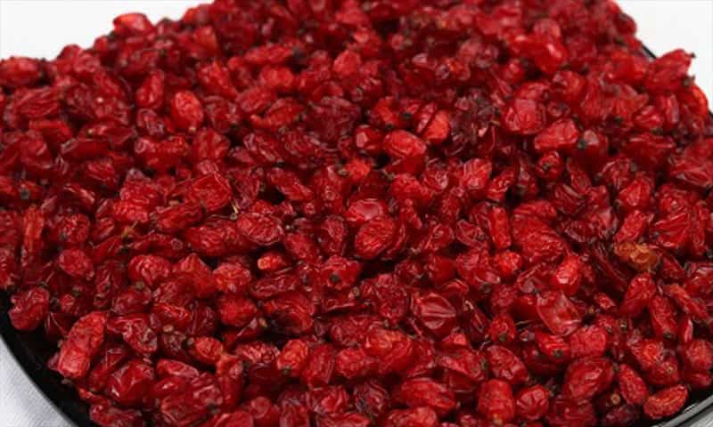 زرشک کوهی خشک؛ تنظیم و تصفیه کننده خون و مناسب برای پاکسازی کبد و کیسه صفرا 