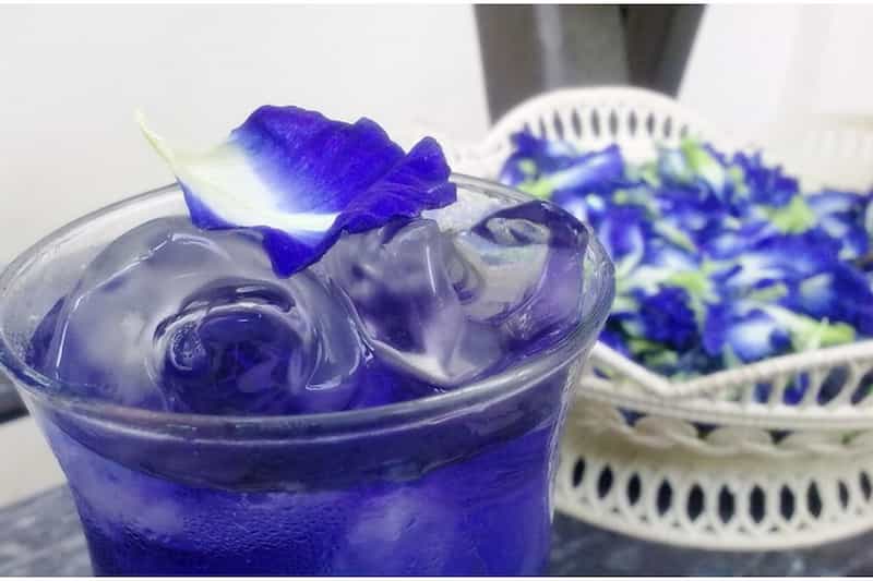 گل گاوزبان قزوین؛ دمنوش سبک و با طراوت آبی تیره و مشکی