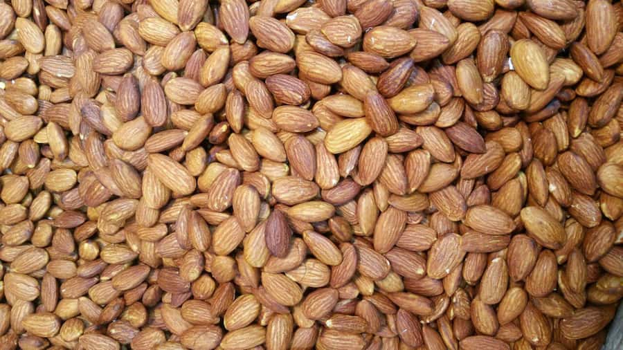 بهترین قیمت خرید مغز بادام درختی مزمز