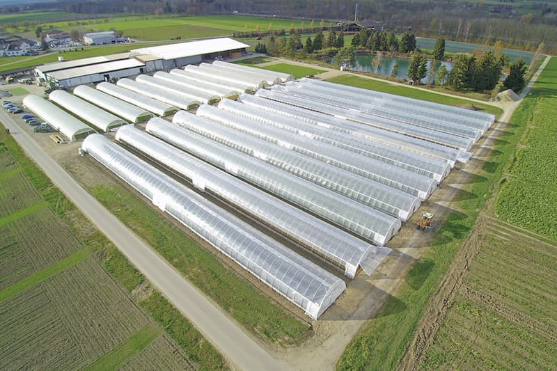 خرید نایلون گلخانه دست دوم + بهترین قیمت