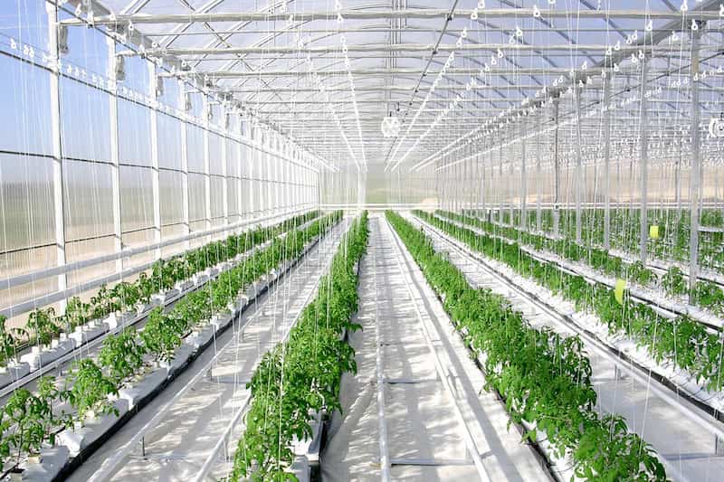 قیمت نایلون گلخانه یزد از تولید به مصرف