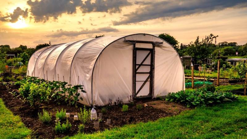 خرید نایلون گلخانه دست دوم + قیمت عالی