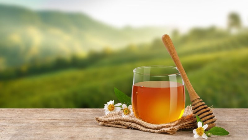 خرید و قیمت روز عسل کوهی طبیعی