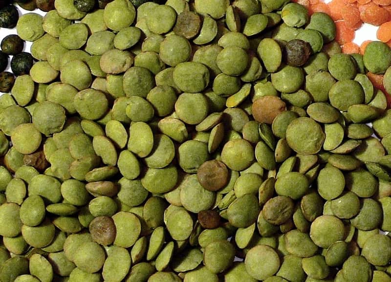 قیمت خرید عدس کیلویی امروز + عکس