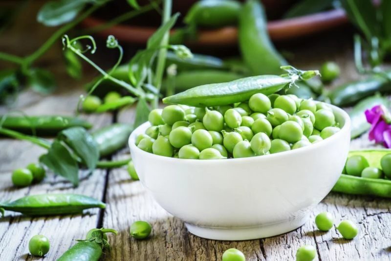 خرید نخود سبز تازه + قیمت عالی