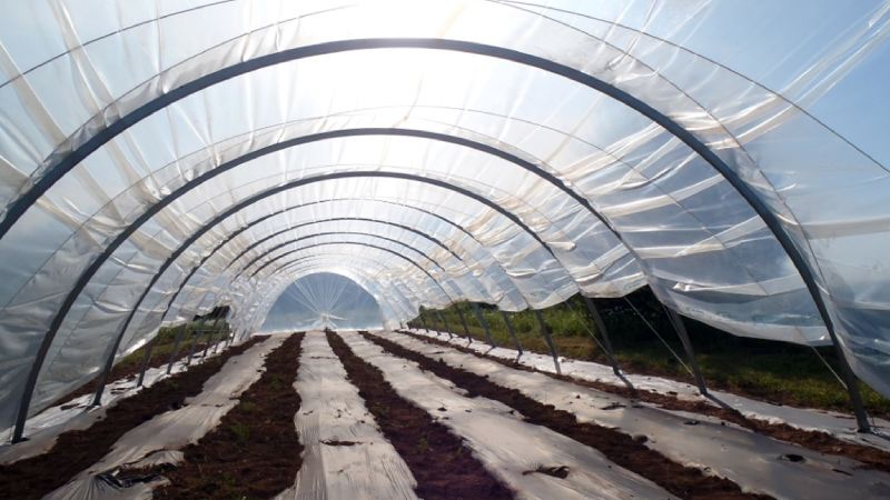 بهترین قیمت خرید نایلون گلخانه دست دوم