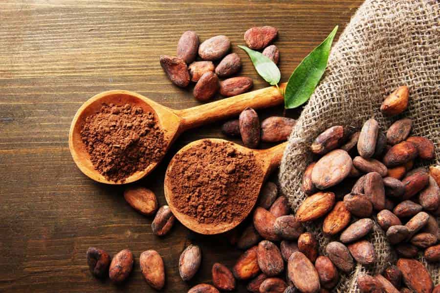 خرید پودر هسته خرما فواید + بهترین قیمت