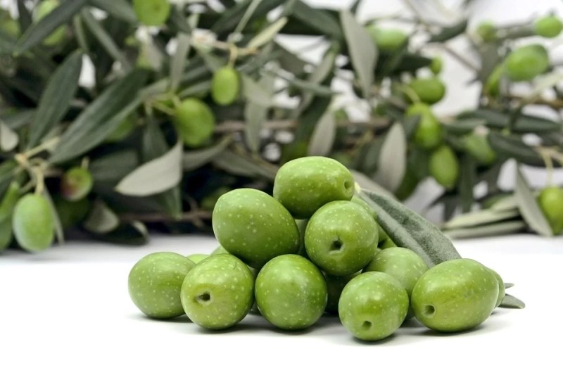 خرید زیتون طارم زنجان + قیمت عالی