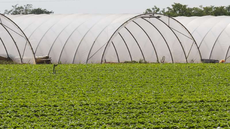 خرید جدیدترین انواع نایلون عریض کشاورزی