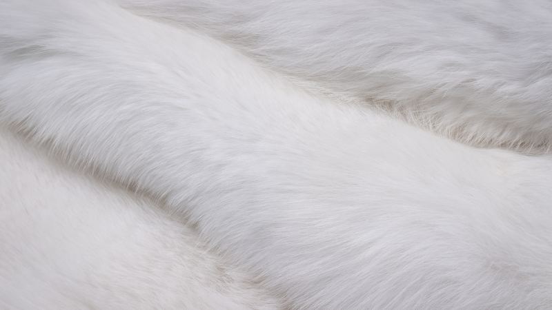 قیمت خرید پارچه خزدار سفید + مشخصات، عمده ارزان