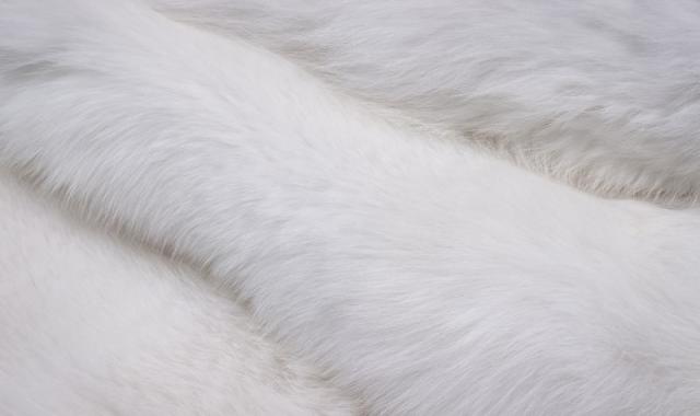 قیمت خرید پارچه خزدار سفید + مشخصات، عمده ارزان