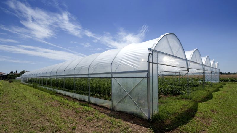 خرید و قیمت روز نایلون گلخانه پرشین