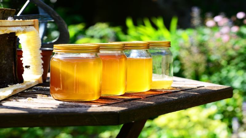 بهترین قیمت خرید عسل طبیعی اویشن