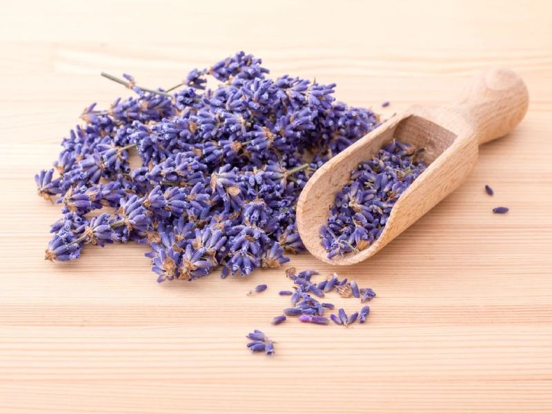 گل گاو زبان برای کودکان + قیمت خرید، کاربرد، مصارف و خواص