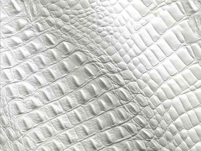 قیمت و خرید چرم بوفالو سفید اهواز + فروش ارزان