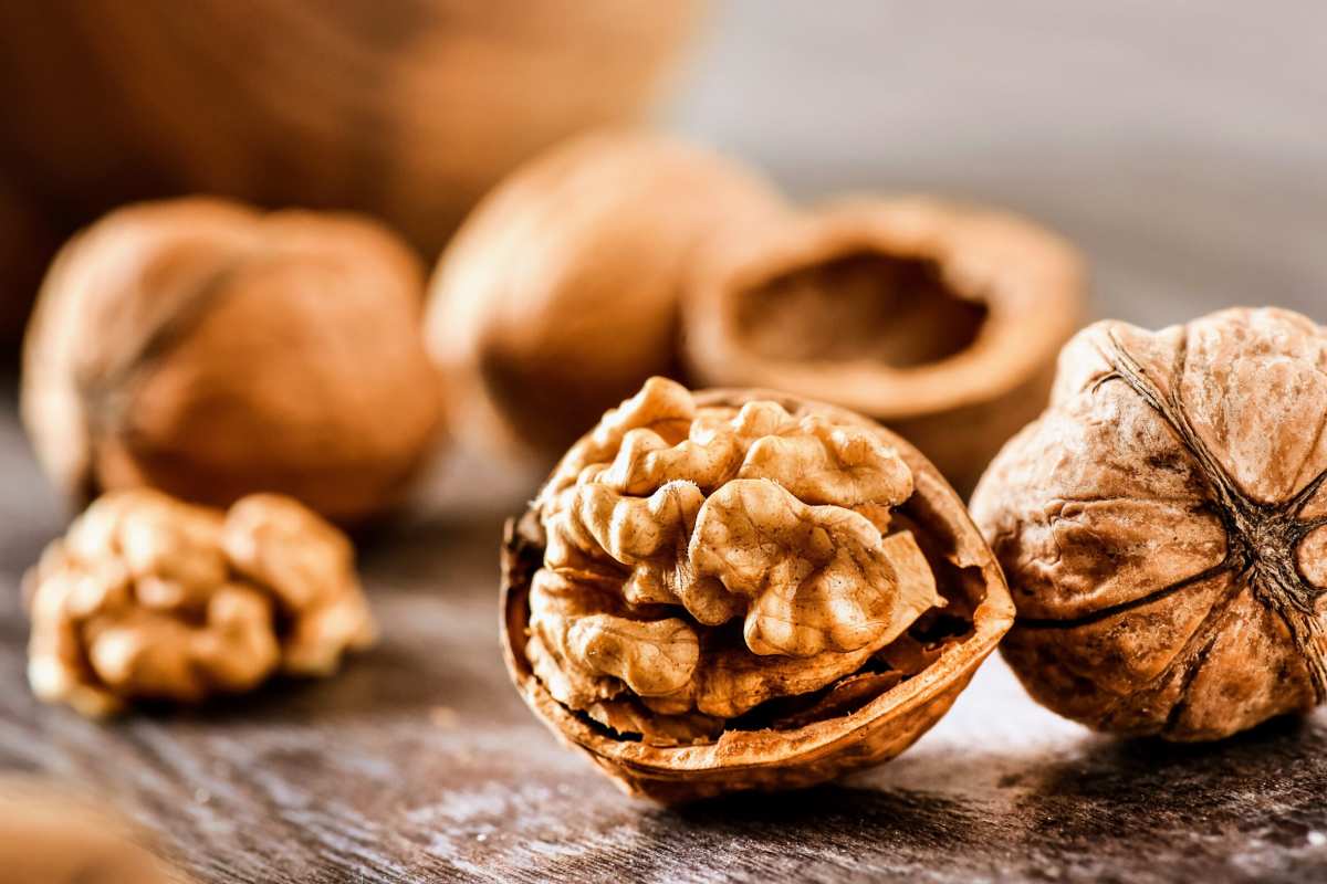 خرید انواع مغز گردو پوست کاغذی + قیمت