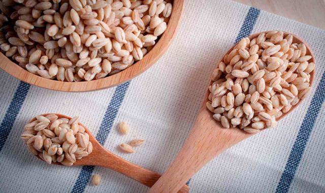 خرید و قیمت روز جو هاشمی در رشت