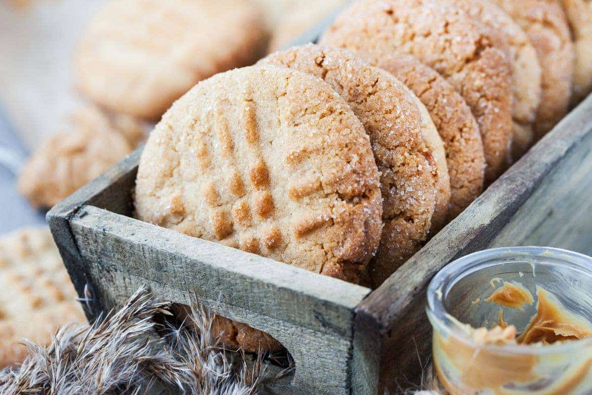 خرید و قیمت انواع کلوچه نادری ۲۰ عددی