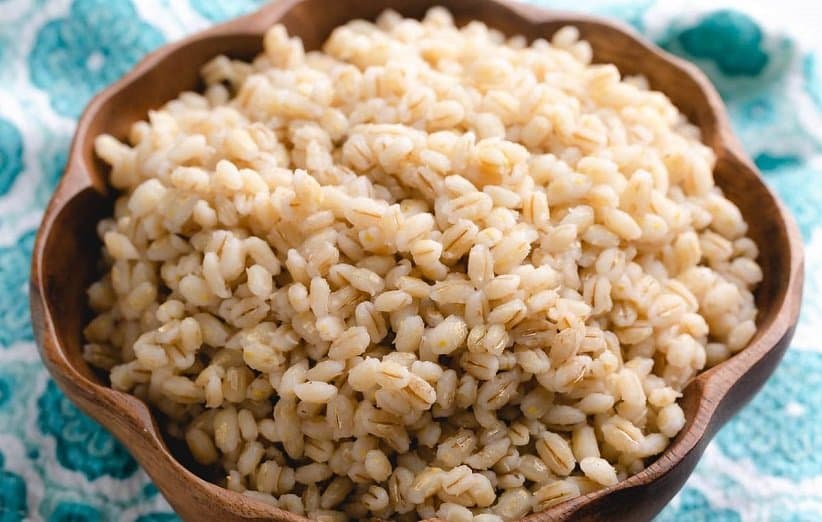 قیمت و خرید جو خارجی بندر امیرآباد + فروش ارزان