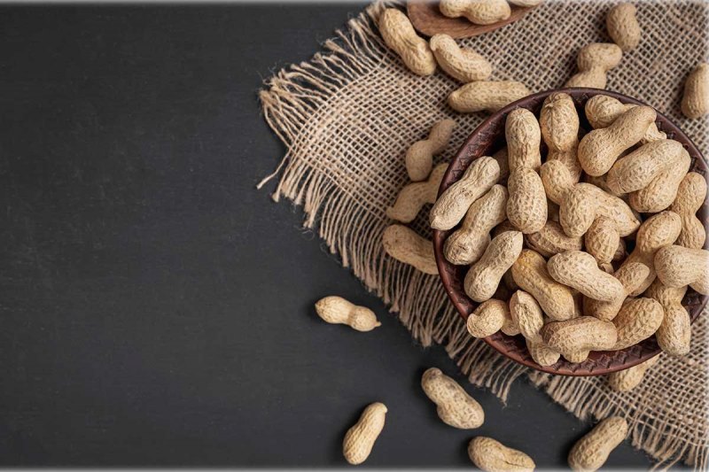 بهترین قیمت خرید بادام زمینی مینودشت