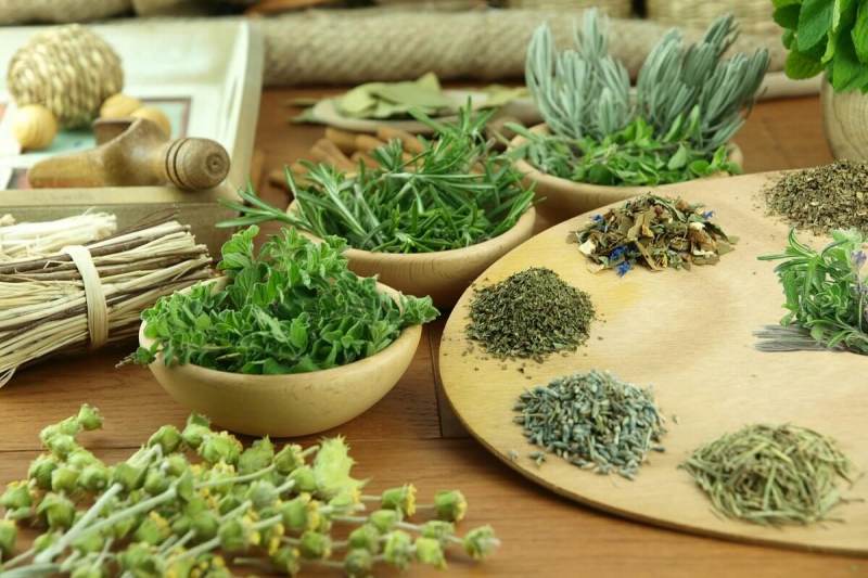 قیمت خرید گیاهان دارویی شیراز+ مشخصات، عمده ارزان