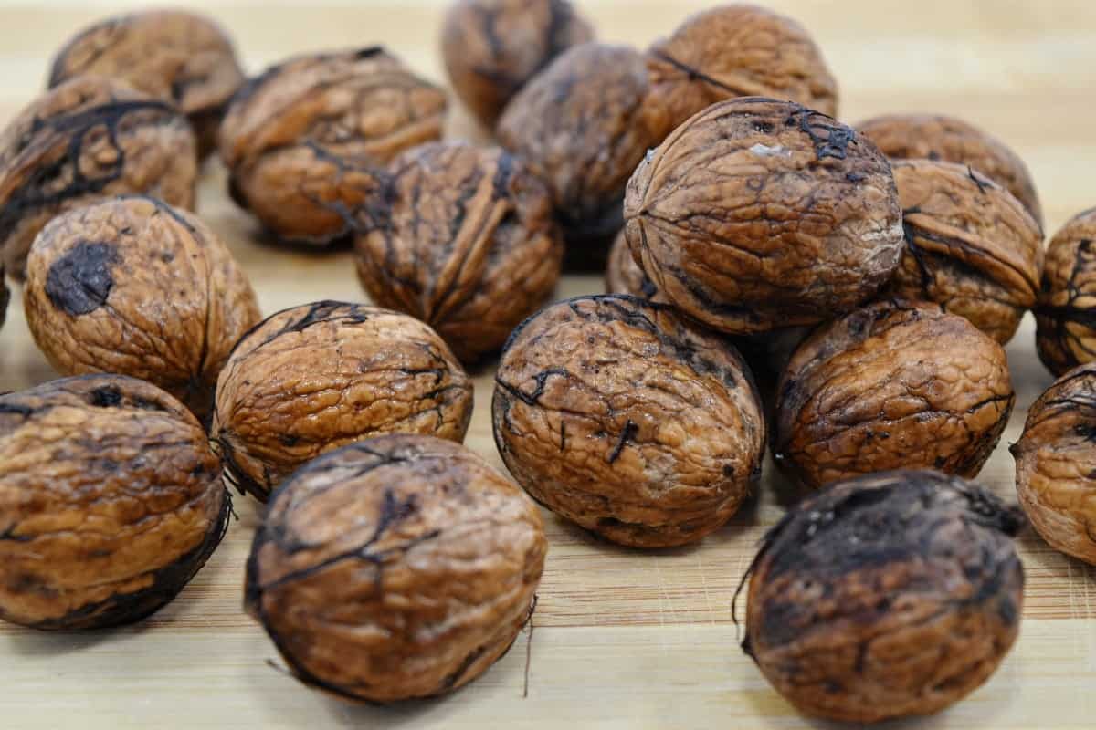 بهترین قیمت خرید گردو حشره زده