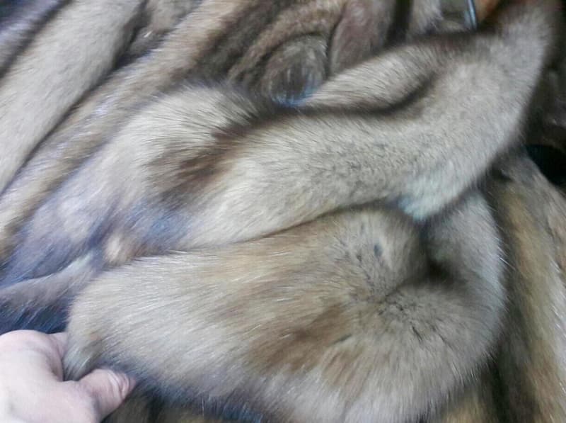 خرید انواع پارچه خز خارجی + قیمت