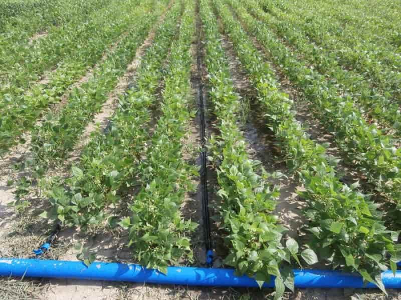 قیمت خرید لوله لی فلت بارانی + آموزش