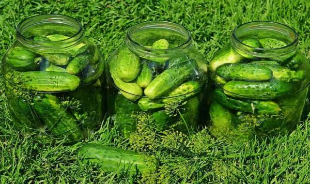 خرید ترشی خیارشور دبه ای + قیمت عالی