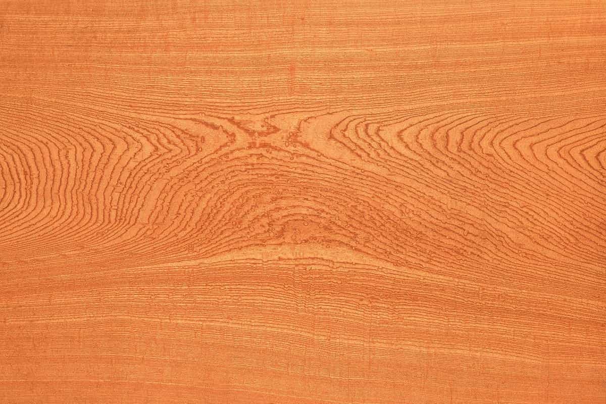 خرید چوب روسی در گیلان + قیمت عالی