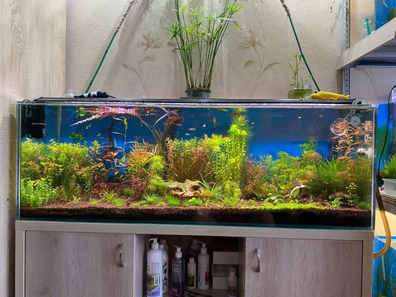 خرید و قیمت تصفیه آب آکواریوم هنگان