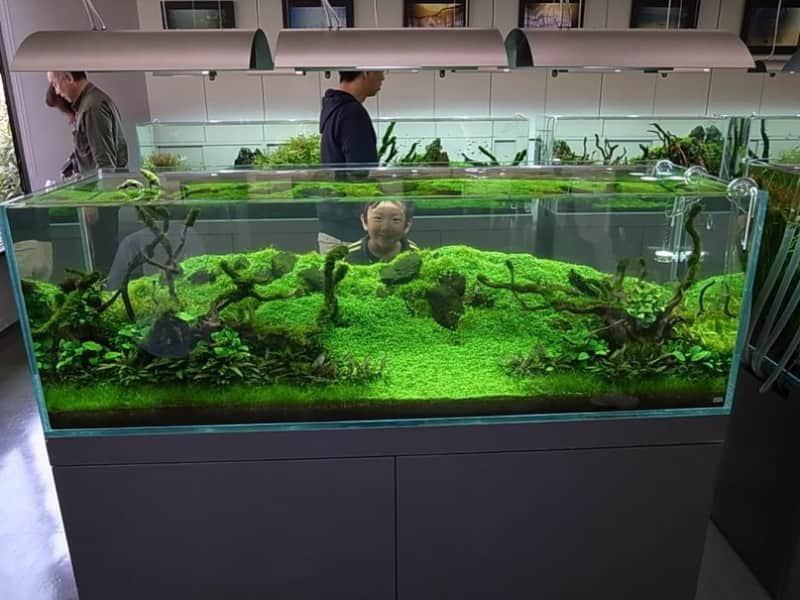 خرید و قیمت تصفیه آب آکواریوم بزرگ