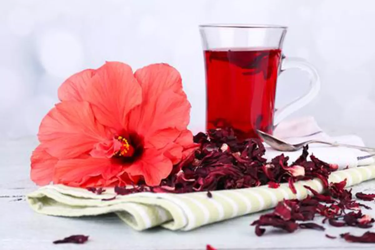 خرید و قیمت شربت گل سرخ تازه