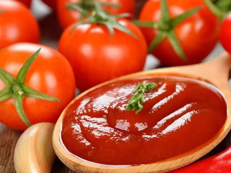 خرید گوجه گلخانه ای همدان + قیمت عالی