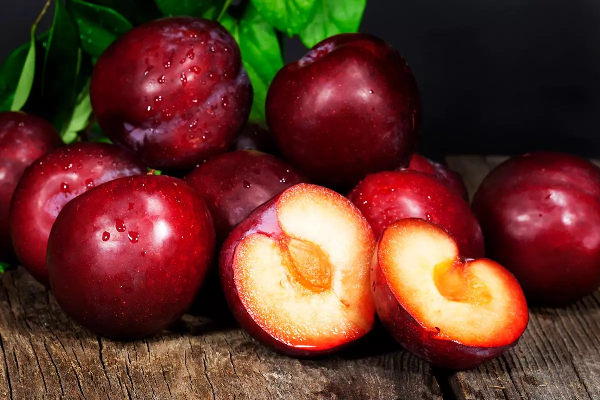 خرید آلو قرمز در بازار + قیمت عالی