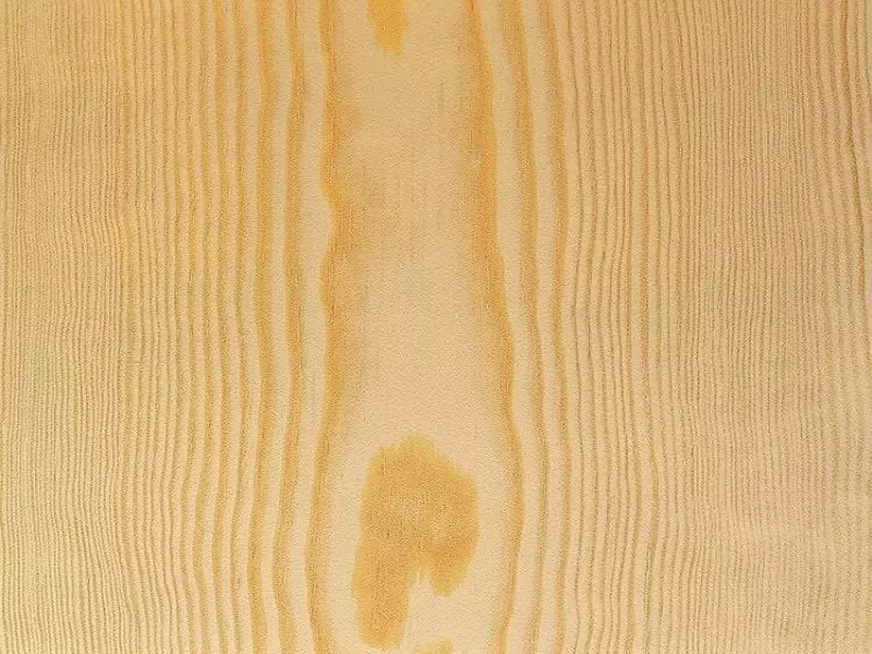 قیمت چوب نراد ۶ متری + پخش تولیدی عمده کارخانه