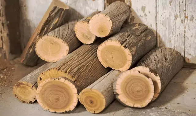 خرید و قیمت روز چوب درخت سرو