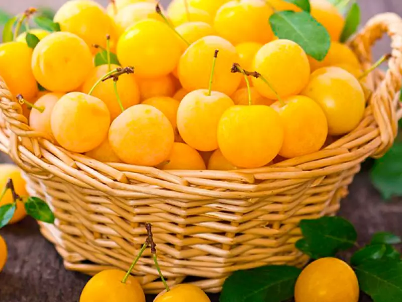 خرید و قیمت روز آلو زرد در بازار