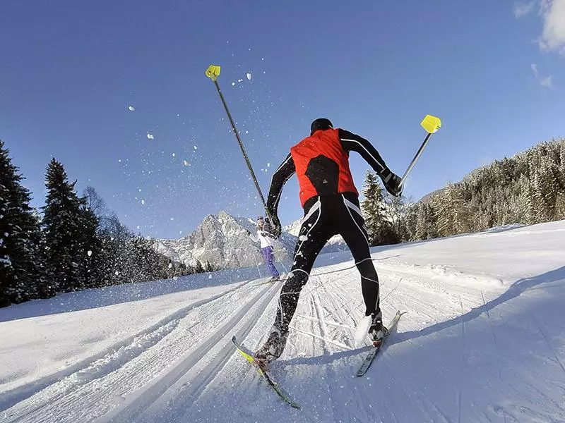 خرید و قیمت روز چوب اسکی نو