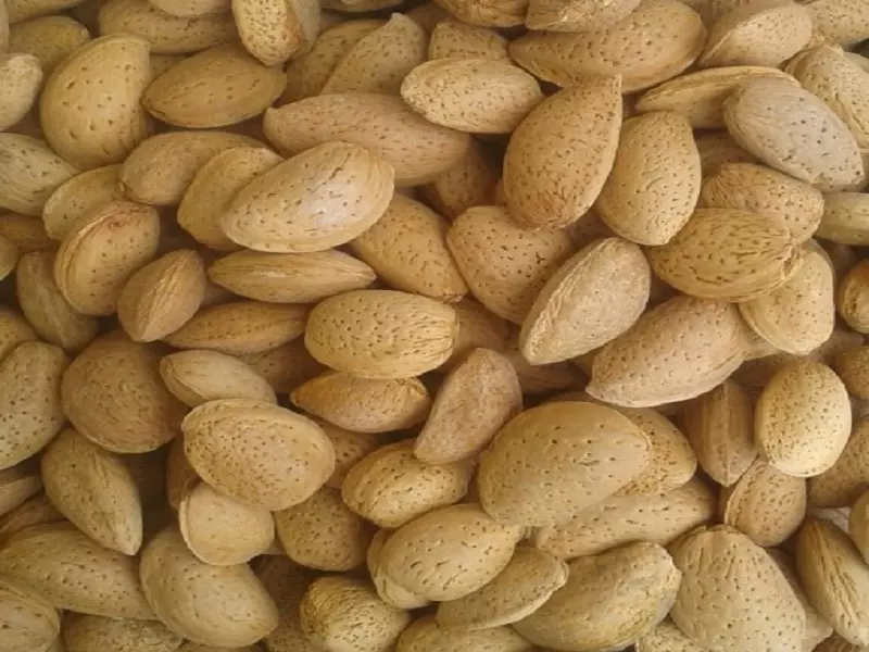 خرید بادام خام با پوست + قیمت عالی