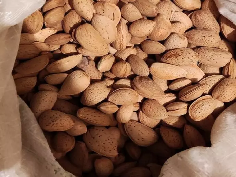 بهترین بادام با پوست ۱۴۰۱ + قیمت خرید عالی