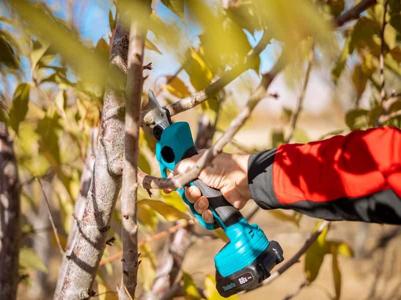 بهترین قیچی شارژی به همراه قیمت و راهنمای عملکرد