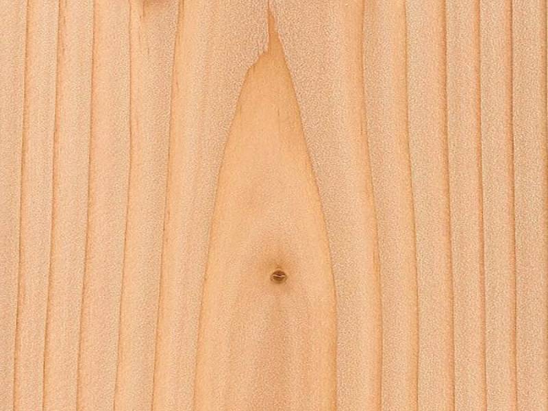 خرید و قیمت روز چوب نراد تهران