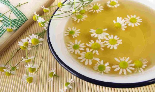 خرید بابونه شیرازی برای مو + قیمت عالی
