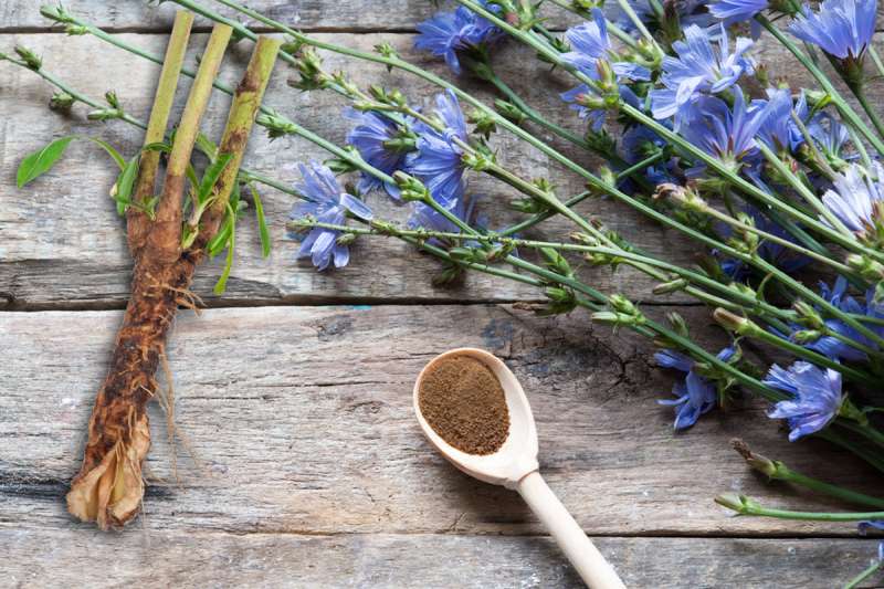 قیمت خرید کاسنی برای کبد چرب + مشخصات، عمده ارزان