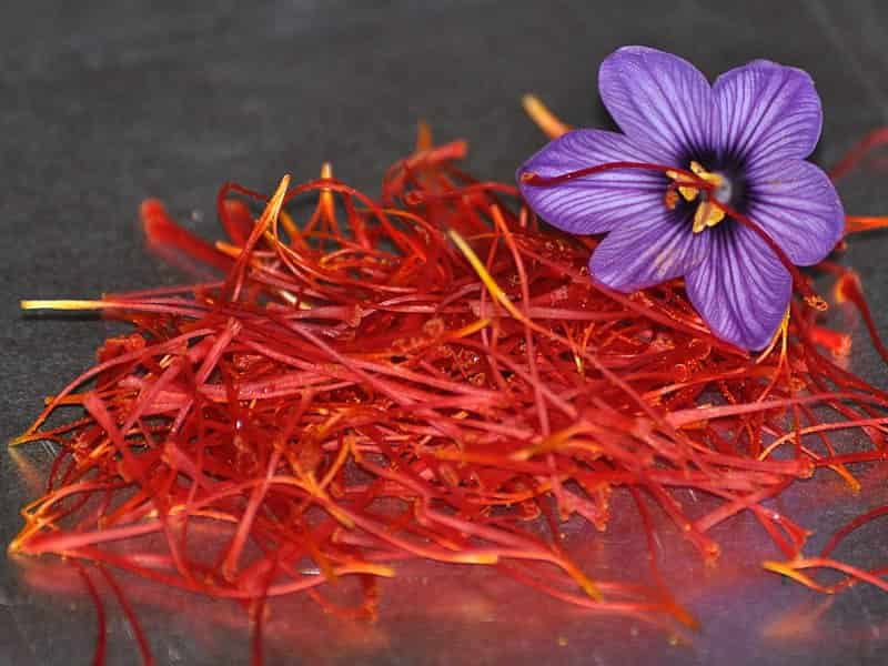 خرید و قیمت روز زعفران برای کم کاری تیروئید